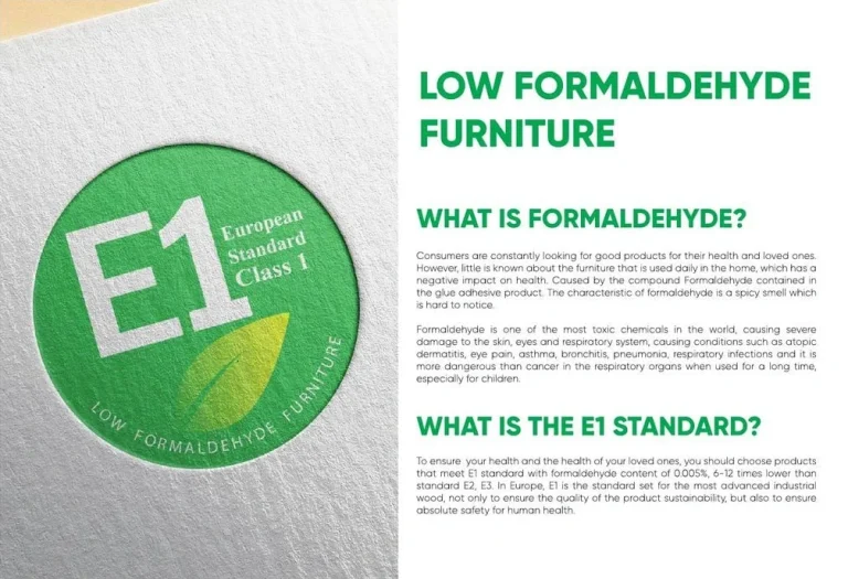 E1 European Standard logo